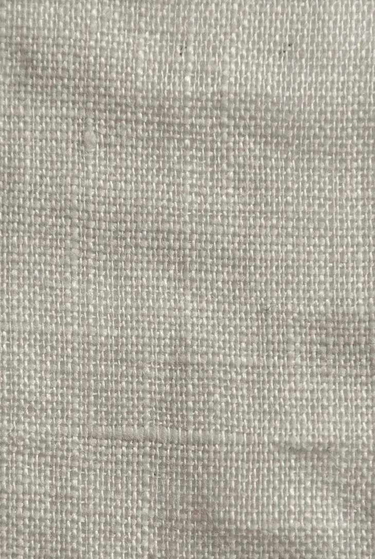 CP Shades Smoke Linen Romy Shirt
