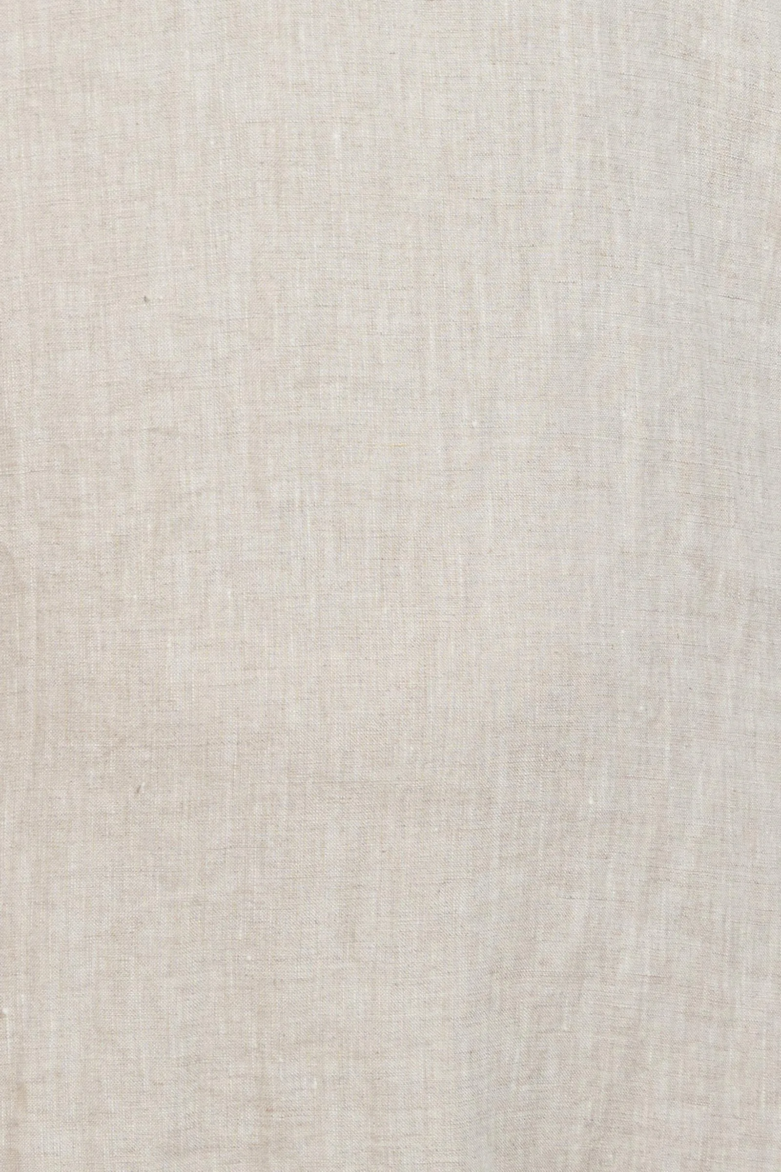 Studio Short - Tusk